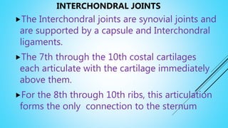 INTERCHONDRAL JOINTS
The Interchondral joints are synovial joints and
are supported by a capsule and Interchondral
ligaments.
The 7th through the 10th costal cartilages
each articulate with the cartilage immediately
above them.
For the 8th through 10th ribs, this articulation
forms the only connection to the sternum
 
