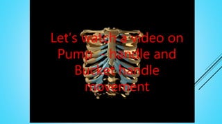 Let’s watch a video on
Pump - handle and
Bucket handle
movement
 