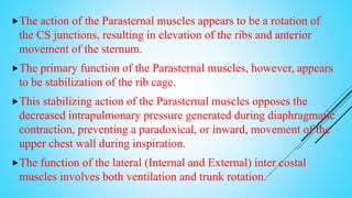 The action of the Parasternal muscles appears to be a rotation of
the CS junctions, resulting in elevation of the ribs and anterior
movement of the sternum.
The primary function of the Parasternal muscles, however, appears
to be stabilization of the rib cage.
This stabilizing action of the Parasternal muscles opposes the
decreased intrapulmonary pressure generated during diaphragmatic
contraction, preventing a paradoxical, or inward, movement of the
upper chest wall during inspiration.
The function of the lateral (Internal and External) inter costal
muscles involves both ventilation and trunk rotation.
 