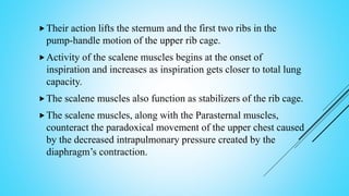 Their action lifts the sternum and the first two ribs in the
pump-handle motion of the upper rib cage.
Activity of the scalene muscles begins at the onset of
inspiration and increases as inspiration gets closer to total lung
capacity.
The scalene muscles also function as stabilizers of the rib cage.
The scalene muscles, along with the Parasternal muscles,
counteract the paradoxical movement of the upper chest caused
by the decreased intrapulmonary pressure created by the
diaphragm’s contraction.
 
