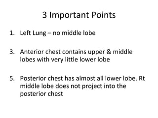 Thorax And Lungs | PPT