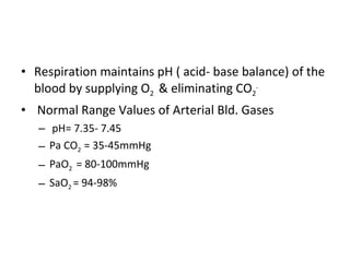 Pa Using Respiration Thorax And Lungs | PPT