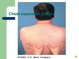 Testing Chest Expansion Thorax And Lungs.330.Ss.09