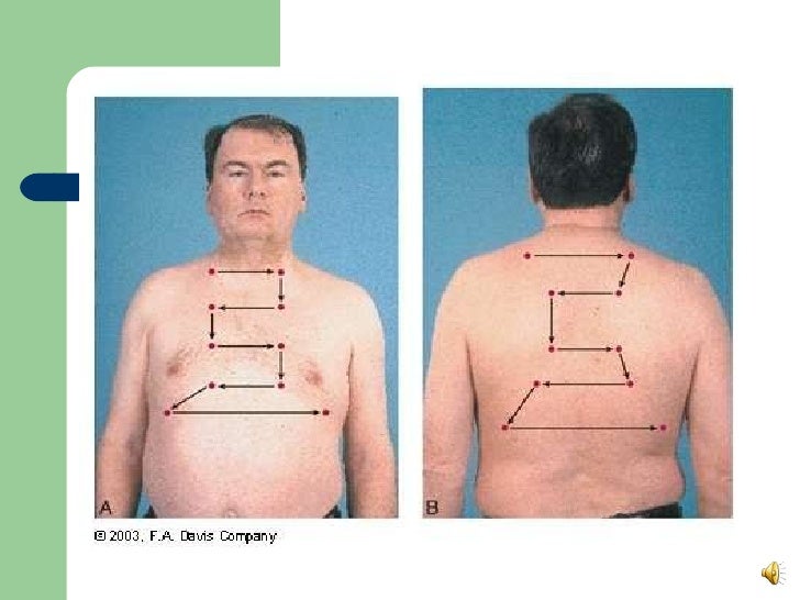 lung auscultation