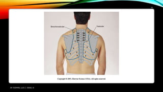 BY: ROMMEL LUIS C. ISRAEL III
14
 