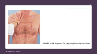 BY: ROMMEL LUIS C. ISRAEL III
19
 