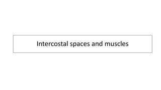 Intercostal spaces and muscles
 