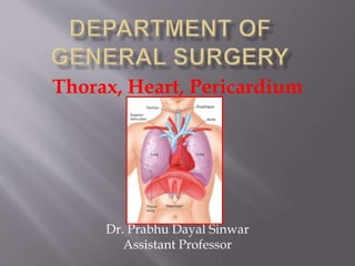 Thorax, Heart, Pericardium
Dr. Prabhu Dayal Sinwar
Assistant Professor
 