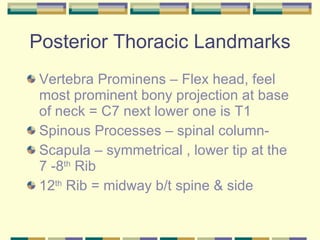 Left Promontory NurseReview.Org Thorax & Lungs | PPT