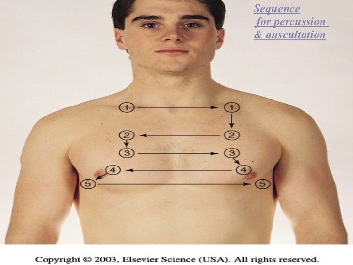 lung auscultation
