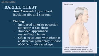 THORAX & LUNGS.pptx.. in the ncm 103 ... | PPTX