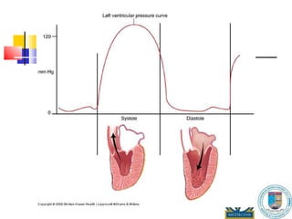 Introduction to Clinical Skills Chest Exam: anterior and posterior Heart and Cardiovascular System Events in the Cardiac Cycle 