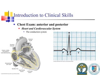 Introduction to Clinical Skills Chest Exam: anterior and posterior Heart and Cardiovascular System The conduction system 