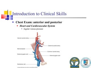 Introduction to Clinical Skills Chest Exam: anterior and posterior Heart and Cardiovascular System Jugular venous pressure 