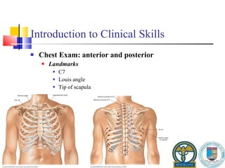 Introduction to Clinical Skills Chest Exam: anterior and posterior Landmarks C7 Louis angle Tip of scapula 