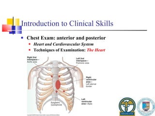 Introduction to Clinical Skills Chest Exam: anterior and posterior Heart and Cardiovascular System Techniques of Examination:  The Heart 