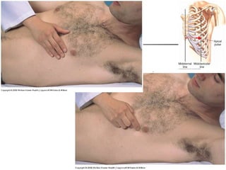 Heart and Cardiovascular System Techniques of Examination: The Heart 