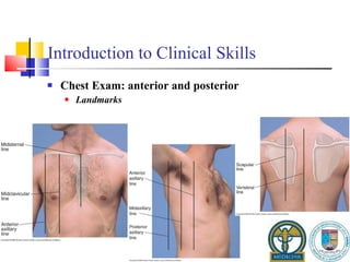 Introduction to Clinical Skills Chest Exam: anterior and posterior Landmarks 