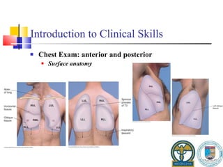 Introduction to Clinical Skills Chest Exam: anterior and posterior Surface anatomy 