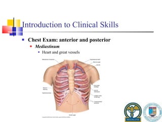 Introduction to Clinical Skills Chest Exam: anterior and posterior Mediastinum Heart and great vessels 