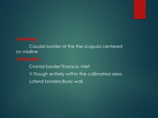 THORAX RADIOGRAPHIC INTERPRETATION CANINE | PPTX