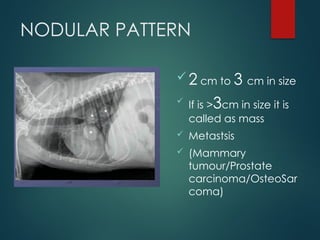 THORAX RADIOGRAPHIC INTERPRETATION CANINE | PPTX