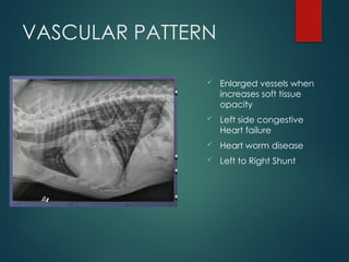 THORAX RADIOGRAPHIC INTERPRETATION CANINE | PPTX