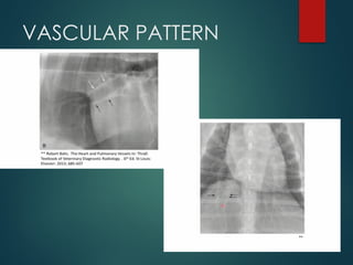 THORAX RADIOGRAPHIC INTERPRETATION CANINE | PPTX