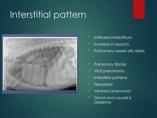 THORAX RADIOGRAPHIC INTERPRETATION CANINE | PPTX