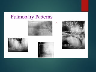 THORAX RADIOGRAPHIC INTERPRETATION CANINE | PPTX