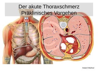 Hubert Wallner 
Der akute Thoraxschmerz 
Präklinisches Vorgehen 
 