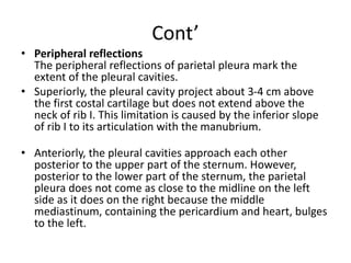 Sternal Reflection THORAX SCS.pptx1111111111111111111111111111 | PPTX