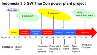 ThorCon CEO Explain Design [ICENES 2019] | PDF