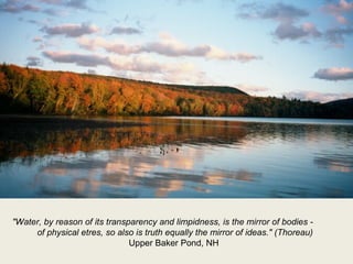 "Water, by reason of its transparency and limpidness, is the mirror of bodies -
of physical etres, so also is truth equall...