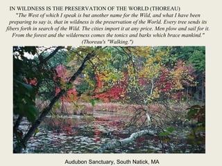 IN WILDNESS IS THE PRESERVATION OF THE WORLD (THOREAU)
"The West of which I speak is but another name for the Wild, and wh...