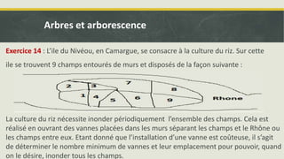 Exercice 14 : L’ile du Nivéou, en Camargue, se consacre à la culture du riz. Sur cette
ile se trouvent 9 champs entourés de murs et disposés de la façon suivante :
La culture du riz nécessite inonder périodiquement l’ensemble des champs. Cela est
réalisé en ouvrant des vannes placées dans les murs séparant les champs et le Rhône ou
les champs entre eux. Etant donné que l’installation d’une vanne est coûteuse, il s’agit
de déterminer le nombre minimum de vannes et leur emplacement pour pouvoir, quand
on le désire, inonder tous les champs.
Arbres et arborescence
 