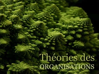Théories des  ORGANISATIONS 