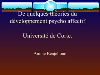 De quelques théories du
développement psycho affectif

    Université de Corte.

         Amine Benjelloun


                                1
 
