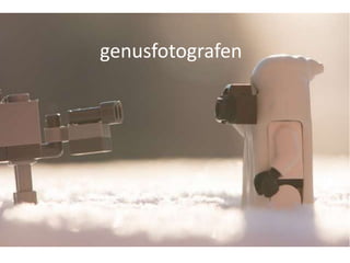 genusfotografen
 
