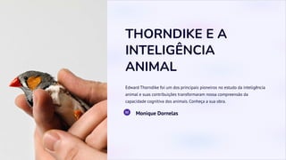 THORNDIKE E A
INTELIGÊNCIA
ANIMAL
Edward Thorndike foi um dos principais pioneiros no estudo da inteligência
animal e suas contribuições transformaram nossa compreensão da
capacidade cognitiva dos animais. Conheça a sua obra.
Monique Dornelas
 