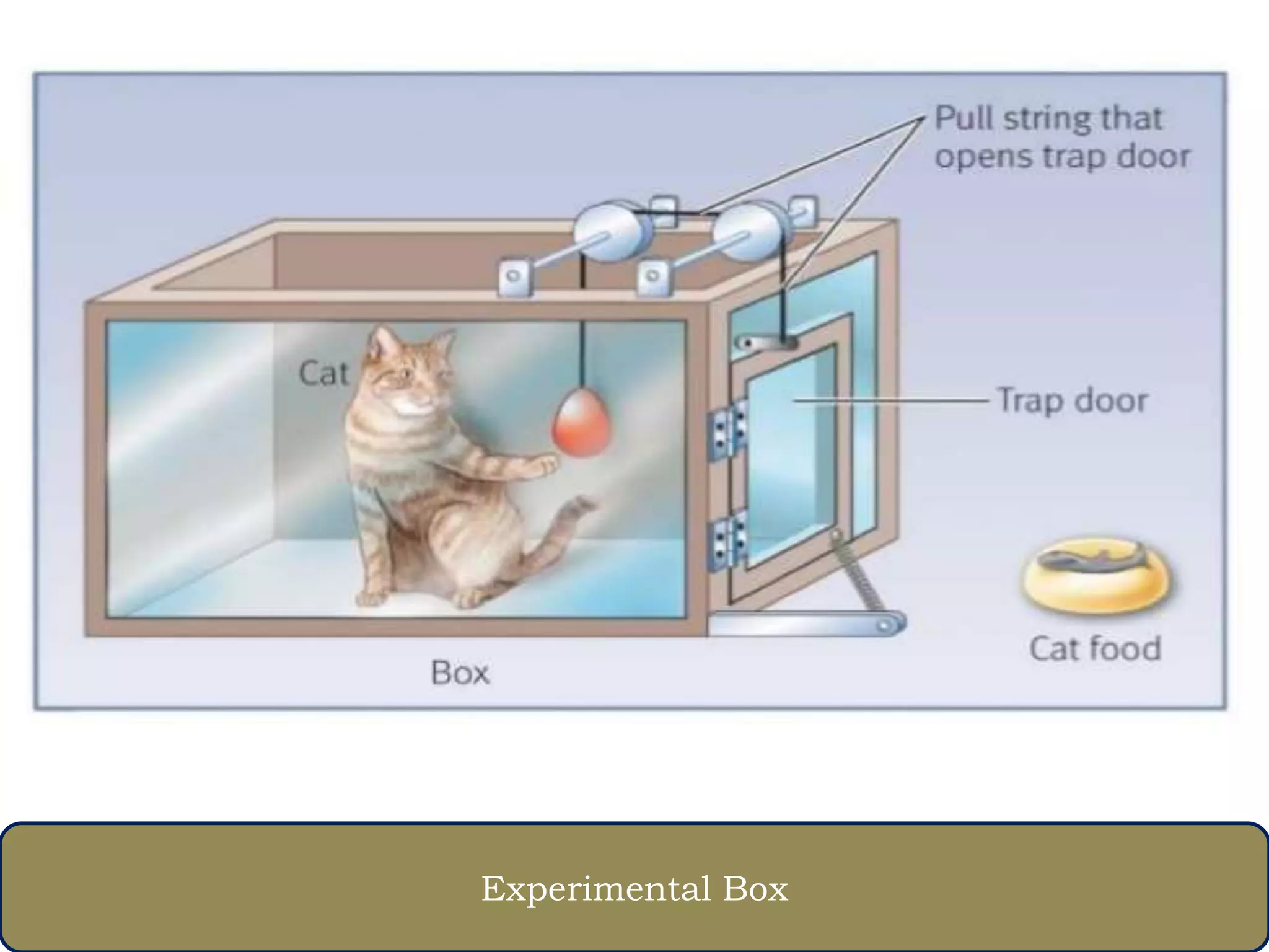 Experimental Box
 