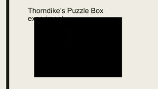 Thorndike’s Puzzle Box
experiment
 