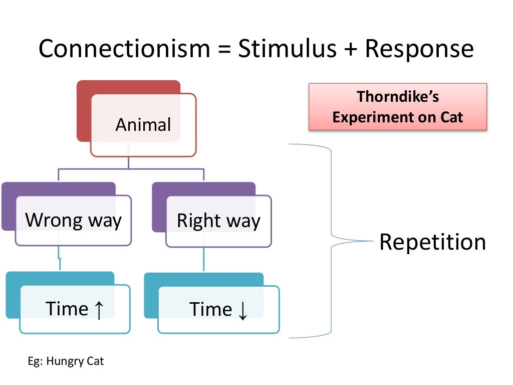 Thorndike's theory of learning SHMN