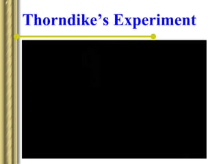 Thorndike’s Experiment
 