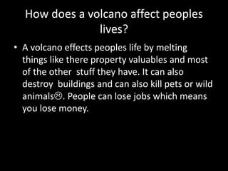 How does a volcano affect peoples
lives?
• A volcano effects peoples life by melting
things like there property valuables and most
of the other stuff they have. It can also
destroy buildings and can also kill pets or wild
animals. People can lose jobs which means
you lose money.
 