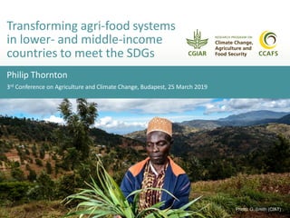 Philip Thornton
3rd Conference on Agriculture and Climate Change, Budapest, 25 March 2019
Transforming agri-food systems
in lower- and middle-income
countries to meet the SDGs
Photo: G. Smith (CIAT)
 