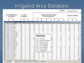 Irrigated Area Database
 