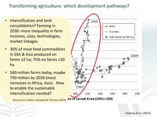 Making agriculture climate-smart at scale