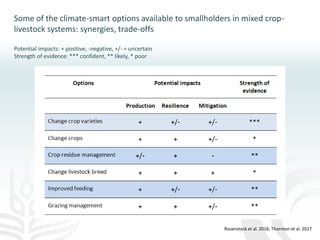 Making agriculture climate-smart at scale