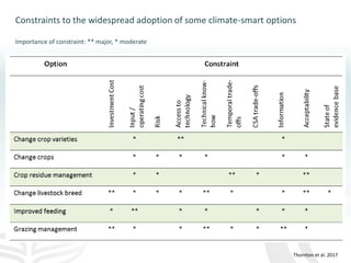 Making agriculture climate-smart at scale